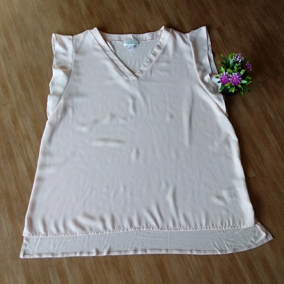 Yacilyn Smith Tops - Jaclyn Smith  V Neck Top Plus Size XXL